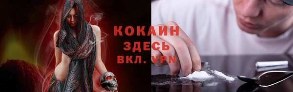 шишки Алзамай