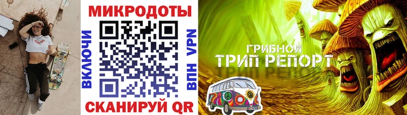 магазин    Игарка  Галлюциногенные грибы ЛСД 